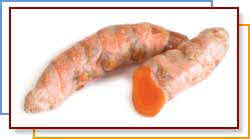 Turmeric Turmeric