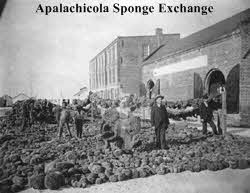 apalachicola