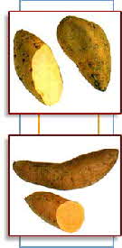 SWEET POTATOES