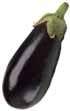 eggplant